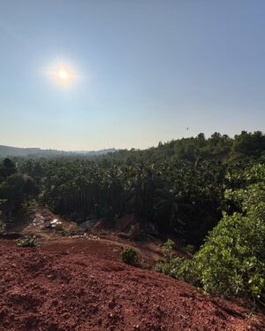 Aishani Shetty Instagram - ಎನ್ನ ಊರು 🌴