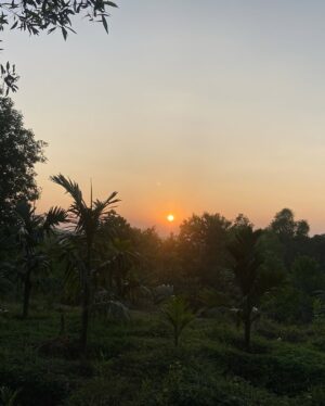 Aishani Shetty Instagram - ಎನ್ನ ಊರು 🌴