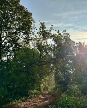 Aishani Shetty Instagram - ಎನ್ನ ಊರು 🌴