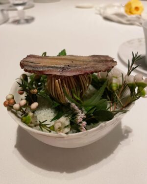 Aiste Miseviciute Instagram - Highlights from the 3 Michelin starred Plenitude @plenitude.paris by @arnauddonckele, a special mention to the wine choices of the very talented head sommelier @emmanuelcadieu. 

- Langoustine with squash and rosemary with sabayon.
- Gambero rosso and broccoletti with gambero, bergamot, Thai basil and yuzu bisque.
- Sauces are a pivotal aspect in Arnaud Donckele's cuisine and this simple yet stellar vegetable dish "Vegetable garden plot" was the best example.
- Sardine with marigold
- Scallop with fennel and caviar
- Pot au-feu, served in the kitchen by chef
- Veal sweetbread with salsify, nasturtium with "fond de veau" and myoga sauce.
- Quince with vanilla and chantilly