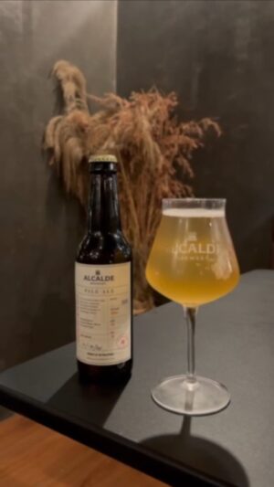 Alice Dixson Instagram - My godson’s tasty artisan brew 🍻 
My friends said 
WoW 🤩 
Try it here @Alcalde Brewery, 
The Brick Road Lifestyle Center, Cainta, Rizal
hello@alcaldebrewery.com 09670487171 for reservations
#AlcaldeBrewery