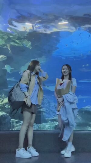 Alicha Sriprathak Instagram - 🐳