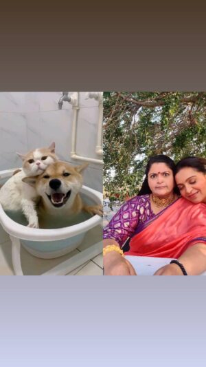 Ami Trivedi Instagram - Do you love your sibling?
.
Are they annoying as hell ?
.
Or cute &cuddly  as a puppy ? 
 .
Drop in comments 
.
#Remix
#Siblingiri
#InBerweenShots
#ShootShenanigans
#ReelKaroFeelKaro 
#YRKKH 
#MahimaBirla
#BasantiKiBeti