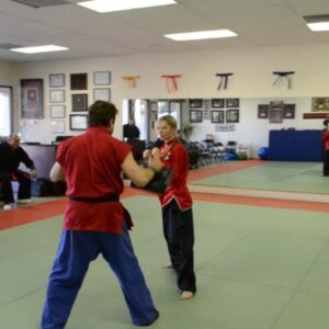 Amy Johnston Instagram - Missing my Dad today on his birthday 💗Wanted to share some videos. 

*First clip was some of my 3rd degree black belt test with him. This was a 3 hour test- non stop, grueling, and incredible. I remember for this test he went off book a bit and it was so delightful 😍We were both bruised, bright red, and he was a bit bloody by the end of it- but we had the biggest smiles on our faces. 

*2nd clip is him kicking a bunch of people like he did lol 5 time world kickboxing champ 🏆He had the most incredible heart and drive. 

#davejohnston
