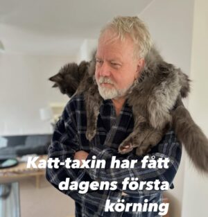 Anna Mannheimer Instagram - Svante-Kåres morgonåk.
#maincoonkillen #mainecoonkillen