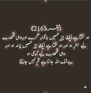Anum Fayyaz Instagram - Only ALLAH knows best ☝️
-
#trustonallahplans💯