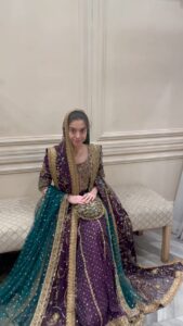 Actress Arisha Razi HD Photos and Wallpapers June 2024