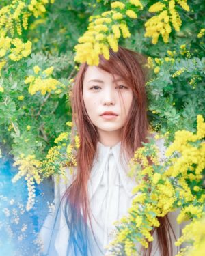 Asami Tano Instagram - ⭐️🐥🧽🌼
『 asaMimoZa 』

全ての愛ある姿に🌼
まぁるいのがいっぱいの世の中になります様に🌼　
黄色いぽわぽわまぁるいのがいっぱい
@kwiae530 が📸納めてくれました。

どれがすきかな？☺️

#国際女性デー#ミモザ#mimoza#国际妇女节#國際婦女節
#womensday#田野アサミ#asamitano