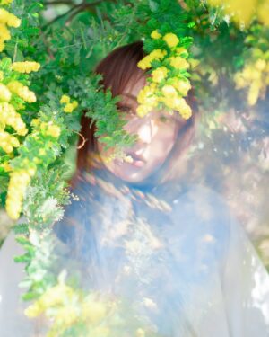 Asami Tano Instagram - ⭐️🐥🧽🌼
『 asaMimoZa 』

全ての愛ある姿に🌼
まぁるいのがいっぱいの世の中になります様に🌼　
黄色いぽわぽわまぁるいのがいっぱい
@kwiae530 が📸納めてくれました。

どれがすきかな？☺️

#国際女性デー#ミモザ#mimoza#国际妇女节#國際婦女節
#womensday#田野アサミ#asamitano