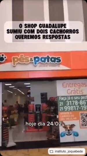 Betty Gofman Instagram - ESSA NOVA ADMINISTRAÇÃO PRECISA DIZER PRA TODO MUNDO O QUE FIZERAM COM OS CACHORROS.  INACREDITÁVEL. MALDADE. DESAMOR. VAMOS COMPARTILHAR MUITO !! VAMOS COBRAR DO @shoppingjardimguadalupe  ONDE ELES FORAM PARAR?? instituto_joquebede with @get__repost__app  Denúncia 🚨

Um funcionário chamado Sidney do Shopping Jardim Guadalupe retirou de forma desumana 2 cães ( Fred e Bruce ) em cima da caçamba de um carro ainda pela madrugada 😭
Queremos saber onde os cães estão, com quem estão?
Não foi informado ao Pet Shop q alimentava e cuidava dos animais, não foi feito um termo de adoção responsável, não foi informado as protetoras q participaram da vida desses cães, foi um furto relâmpago na calada da noite.

Queremos uma resposta do Shopping q através desse funcionário q furtou os cães, tmb acabou com uma feira de adoção q já durava 8 anos. O Shopping participou várias vezes do castra móvel RJPET com o intuito de diminuir a super população de animais, só q agora com a nova direção acabou as feiras, acabou as castrações e 2 cães foram despachados como se fossem mercadorias sabe se Deus pra onde.

Queremos justiça para Fred e Bruce ‼️

Pedido de socorro dos protetores, já vão fazer 2 semanas q não sabemos onde eles estão. Esse senhor Sidney sabe onde eles estão, ajudem encontrar esses anjinhos 🙏

Alô @policiacivil.rj  @nasgarrasdalei @marceloqueiroz11 @yeuxpapillon @_bettygofman @luisamell @paulaburlamaquioficial @alexiadechamps @lemmertzju @paollaoliveirareal @angelicaksy @vinicius.cordeiro23 @irisstefanelli simony.vieiras estephanyluize @oficialmarcostavares @thelmaguedes @dodicandilo @osindefesos @paraisodosfocinhos @oficialmicheletavares w @download_repost_pro #repostios #repostw10