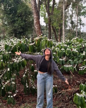 Bhavya Gowda Instagram - This place has my whole heart 🥺❤️

bhavyagowda670 #geetha #bhavya #bhavyagowda670 #geetha #kannada #kannadathi #coffee #coffeeblossom #nature #naturevibes #natureescape