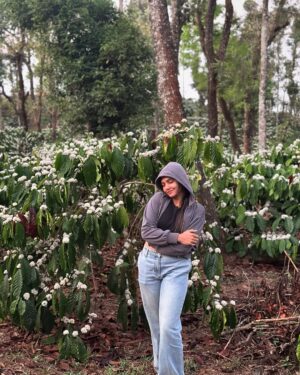 Bhavya Gowda Instagram - This place has my whole heart 🥺❤️

bhavyagowda670 #geetha #bhavya #bhavyagowda670 #geetha #kannada #kannadathi #coffee #coffeeblossom #nature #naturevibes #natureescape