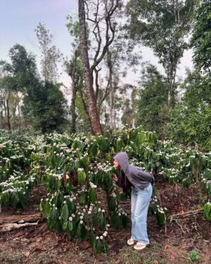 Bhavya Gowda Instagram - This place has my whole heart 🥺❤️

bhavyagowda670 #geetha #bhavya #bhavyagowda670 #geetha #kannada #kannadathi #coffee #coffeeblossom #nature #naturevibes #natureescape