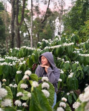 Bhavya Gowda Instagram - This place has my whole heart 🥺❤️

bhavyagowda670 #geetha #bhavya #bhavyagowda670 #geetha #kannada #kannadathi #coffee #coffeeblossom #nature #naturevibes #natureescape