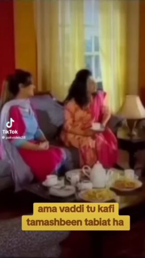 Bushra Ansari Instagram - Kya kya yaad karen. ! Hye mere piaree behn. ! Jany Kahan Gaye Woh din. !