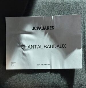 Chantal Baudaux Instagram - un poco de @mbfwmadrid de la mano de @jcpajares 

@fabracomunicacion 
@andreasosamgmt

#verderebelde