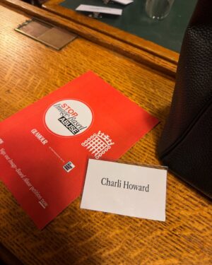 Charli Howard Instagram - I was SO honoured to go to the Houses of Parliament again yesterday with my @glamouruk fam to take part in a roundtable about image-based abuse and the danger of deepfakes ❤️ I’ve been a part of this campaign since the beginning & while a lot has been achieved in the past year, there’s still a LONG way to go in maintaining women and girls’ safety. I’m in awe of all the activists, campaigners, charities and MPs helping bring awareness to this issue. Amazing things happen when we come together & educate young people on internet safety 💻👸🏼👸🏾👸🏻👸🏿👸🏽 #girlpower #myimagemychoice