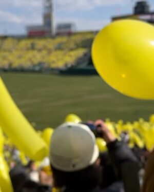 Chihiro Kawakami Instagram - 今年初甲子園！

シーズンへ向けての調整も兼ねてるオープン戦
これからの阪神がとっても楽しみです🐯✨

今日はジェット風船を飛ばせたことが嬉しかった〜
懐かしさとついに帰ってきた光景に胸が躍りました！！

またジェット風船飛ばせる試合も観に行きたい🐯🎈

#阪神タイガース #甲子園
#阪神甲子園球場
#オープン戦なのか疑うくらいの満員の甲子園
#今日はシークレットグッズで当たった
#虎リング #付けてました #💍♡