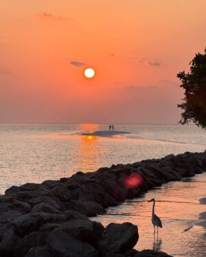 Chloe Lloyd Instagram - *this & not knowing what day it is*🍸🏝️ 
heres a lil’ album of holiday pics from the last few days at @dhigalimaldives before we head off to our next island. 
Snorkelling with turtles & Manta Rays was incredible and the sunsets are something else. What a magical world we live in. 
☀️ 🐢🐠 🐬