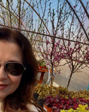 Corina Dănilă Instagram - L-am vizitat pe Laurențiu la Gardenis, în Agronomie, pentru că am decis să ne mai luăm doi pomișori: un nectarin și un măr golden delicious. O revărsare de culori de primăvară am descoperit și am primit ajutorul neprețuit al Georgianei în alegerea noastră, așa că am mai luat un bujor roșu ca focul și un liliac pitic, pe lângă ce ne-am propus.. Şi n-aș mai fi plecat de lângă magnoliile înflorite!! ❤️
De-acum urmează operațiunea “plantarea”! 😄
#spring #fyp #foryou #foryoupage #springvibes🌸