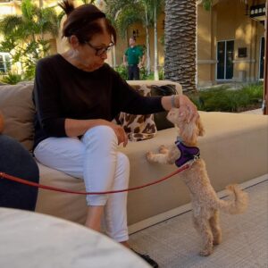 Debbie Millman Instagram - My magnificent mother-in-law left the earth today. She leaves in her wake a magnificent husband, remarkable children (one of whom is my wife), phenomenal grandchildren and a boatload of siblings, cousins, nieces, nephews, godchildren and friends. Nicole Gay was a brilliant, beautiful bad-ass. She was the most put-together old-school glamour gal around. She was sharp, funny, saucy as hell and whip-smart. She always said what she meant and meant what she said. She didn’t sugarcoat. She didn’t smile when she didn’t feel like smiling. She didn’t lie or flatter or fawn. She didn’t complain but if you asked how she was, she told you the truth. She was the most dignified person I've ever met. She ironed her impeccable outfits every day. She had her bedsheets pressed. She was a clean-freak. She walked faster than I did (and I walk fast). And when one part of my side of the family imploded, she comforted me as my mom: she held my hand, wiped my tears away and handed me a tissue. She made me laugh, and laughed at my jokes. She knew how much I love her daughter. I think she knew how much I loved her. I hope so—as I did—with all my heart. Rest in peace and power and your best Chanel suit, my darling mother, my friend, my family.