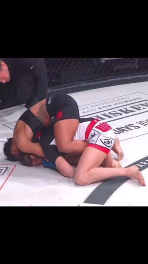 Denise Kielholtz Instagram - This happened on February 21: Bellator 239 - 2020.02.21: Denise Kielholtz @missdynamite def. Kristina Williams via rear naked choke round 1.
.
👊🏻🔥👊🏻🔥👊🏻🔥👊🏻🔥
.
#bellatormma #mma #wmma #martialarts #fight #fighting #fighter #strongwomen #stronggirls #ko #tko #jiujitsu #bjj #boxing #kickboxing #headkick #muaythai #wrestling #grappling #submission #armbar #rearnakedchoke #winner #champion #follow #followme