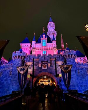 Dimple Harika Instagram - Nothing more magical than this ❤️🧚‍♀️🪄✨

#happiestplaceonearth #disney #disneyland #magical #disneycastle #disneyparks #bucketlist