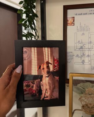 Dissha Pardeshi Instagram - March dump 👀