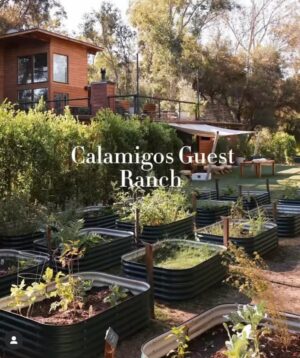 Fernanda Romero Instagram - I don’t know if it comes with age, but I’m definitely into memberships 😂 and services that make my life easier—here are some that I use and truly enjoy! #notsponsored
👇🏼
@calamigosguestranch 🌳
is an incredible membership for families looking to reconnect and recharge. Nestled in the heart of Malibu’s serene woodlands, it offers access to a gym, wellness programs, pools, and beautiful spaces where you can even work remotely. It’s the perfect escape for both relaxation and productivity, making it a truly special place for the whole family.

@skinlaundry offers different membership tiers depending on your skincare needs:

Refresh Membership ($175/month): Includes one Signature Laser Facial, 50% off enhancements, and 10% off products.
Renew Membership ($275/month): Offers one Power Signature Facial, two Signature Laser Facials, or two Resurfacing Facials, plus the same discounts.
Rejuvenate Membership ($375/month): Includes one Power Duo Facial or three Signature Laser or Resurfacing Facials, with the standard discounts.
This membership is fantastic for maintaining skin glow, reducing signs of aging, and keeping your skin healthy year-round.
@burke_williams is the ultimate self-care membership, giving you access to luxurious spa treatments whenever you need a reset. Their membership grants access to amenities like steam rooms, relaxation lounges, and discounts on massages and facials.

@madisonreed makes salon-quality hair color effortless and affordable. Their Limitless Pro Membership ($42 every four weeks) includes a roots service every six weeks, 10% off all services and products, a birthday gift, and early access to new products. The Limitless Pro  Membership ($70/month) allows unlimited root touch-ups, 20% off all services, and 10% off products. It’s a budget-friendly way to maintain beautiful hair with unlimited visits.

@pressedjuicery has been a staple in my family for over seven years, and we absolutely love it. From their seasonal smoothies to wellness shots.

This post is not sponsor at all! 
#membershipperks