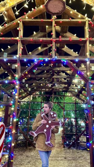 Gage Golightly Instagram - Have you ever had funnel cake or deep fried Reese’s? #funnelcake #dessert #christmastree