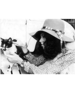 Gal Costa Instagram - 🐈 Gato de Gal, de Alice também

Sabia que hoje é Dia Mundial do Gato? Gal sempre foi apaixonada por animais e para comemorar o dia, não podíamos deixar de trazer alguns gatinhos.

🐈‍⬛ O gato também está presente em sua discografia. Em 1993, Gal lançou o álbum “O Sorriso do Gato de Alice. O álbum traz onze faixas, tendo apenas cinco compositores: Caetano Veloso, Gilberto Gil, Jorge Ben Jorge, Djavan e Arto Lindsay. Foi o último disco de Gal Costa concebido em forma de vinil, com lado A e lado B.

👄🐱Qual é a sua música favorita neste álbum?

#GalCosta #EquipeGal