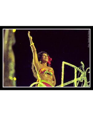 Gal Costa Instagram - 🎊🥁 O carnaval tá chegando! Estão animados?
Gal maravilhosa no desfile histórico da escola de samba Mangueira com enredo em homenagem aos Doces Bárbaros, em fevereiro de 1994. A escola não ganhou o campeonato, mas o samba enredo “Atrás Da Verde-Rosa Só Não Vai Quem Já Morreu” (1994) se tornou um clássico da escola carioca. Concordam?

Vídeo: @g1

#GalCosta #EquipeGal