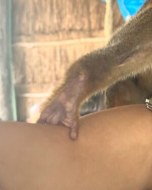Hailee Keanna Lautenbach Instagram - Look. I’m not that girl who posts a photo with a friend and the friend looks stupid and I look hot. But here is a photo of me and a monkey on a leash where you can’t see monkey (he has fingernails. NAILS ON THOSE FINGIES) From day 1 filming #sonicjourneytvshow #sonicjourney