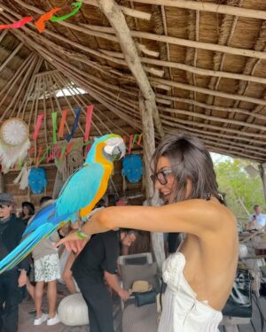 Hailee Keanna Lautenbach Instagram - Yayyyy I thought I missed the Tulum boat by never saying yes to one or those good ol’ promoter trips but ALAS now I got paid to go to Tulum 💪🏼✨ #sonicjourney my first thought was how Mexico smelled like Miami and I’ve missed that Miami smell and I was hit by a wave of nostalgia so that was a fun moment ~~ (boobear over here was the best  1 but now I have to watch out for him before I become his  1…because he shined like a ⭐️ ⭐️⭐️) (video of Weasley is from sweet sister sending me updates on my son)