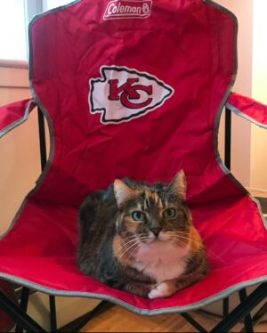 Heidi Gardner Instagram - I LOVE YOU CHIEFS and I think you’re the best ❤️💛❤️ sending you all my love and luck today ✨✨✨✨✨✨✨✨✨✨✨✨✨