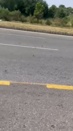 Hina Khawaja Bayat Instagram - Will the CM Punjab take responsibility for the consequences of these reckless, desperate tactics of suppressing the voice of the people??