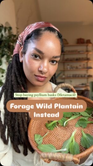 Indy Srinath Instagram - 🗣️ we have psyllium husks at home!
Send this to your friend who’s still buying Metamucil and fiber supplements. 🤦🏾‍♀️
.
.
.
.
.
.
.
#foragedfood #wildfoodlove #plantmedicine #herbalism #naturalremedies