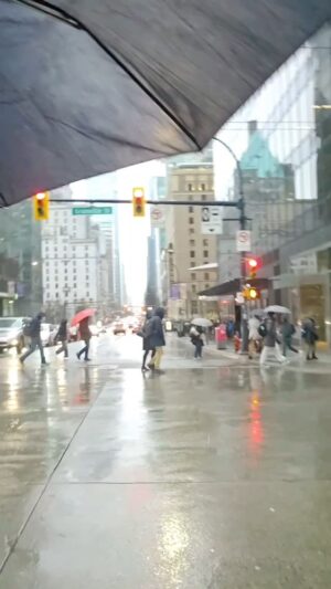 Jana Malik Instagram - Crazy rain, cold, frizzy hair ! 
#vancouverisawesome