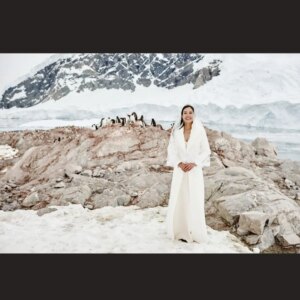 Janet Hsieh Instagram - A few penguins crashed our wedding. 有幾個（很多個）企鵝加入我們的南極婚禮🐧🐧🐧🐧🐧
Amazing photos by @nickonken