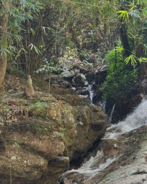Janie Tienphosuwan Instagram - Peace is the real soft life.