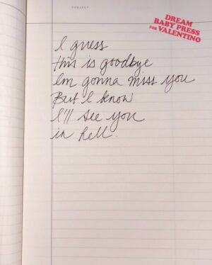 Jemima Kirke Instagram - To whom it may concern, a Valentine’s Day poem. ♥️🗑️

@maisonvalentino
 @dreambabypress