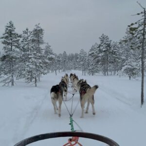 Jenna Pollard Instagram - Memories made ❤️ such a magical time on this trip 🇫🇮✨🙌🏼 @kieron.pollard55 @kaiden.pollard__ #lapland #santavillage #snowmanworld #icerestaurant #huskyride #reindeersleighride #meetingwithsanta #articcircle #northernlights #family #fun #love #thankful