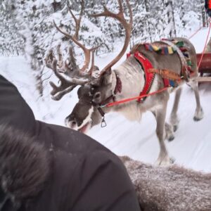 Jenna Pollard Instagram - Memories made ❤️ such a magical time on this trip 🇫🇮✨🙌🏼 @kieron.pollard55 @kaiden.pollard__ #lapland #santavillage #snowmanworld #icerestaurant #huskyride #reindeersleighride #meetingwithsanta #articcircle #northernlights #family #fun #love #thankful