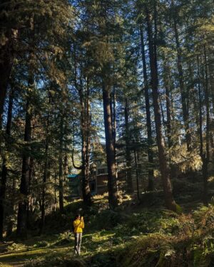 Jhanvi Bhatt Instagram - Filtered rays and nature’s daze ✨🥹