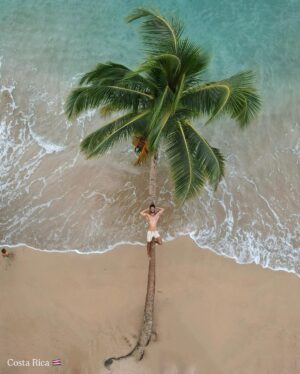 Julia Flabat Instagram - TOP 15 Les plus belles plages du monde 😍🌎
Quelle plage choisiriez-vous ? 1-15
-
1 Afrique du Sud, Kogel Bay Beach 🇿🇦
2 Costa Rica, Puerto Viejo 🇨🇷
3 Seychelles, La Digue 🇸🇨
4 Australie, Esperance 🇦🇺🦘
5 Philippines, Las Cabanas Beach🇵🇭
6 Ile Maurice, Le Morne 🇲🇺
7 Maldives 🇲🇻
8 Socotra 🇾🇪
9 Polynésie, Tahaa🇵🇫
10 Lanzarotte 🇮🇨
11 La Réunion 🇷🇪
12 Zanzibar 🇹🇿
13 Rio, Ipanema🇧🇷
14 Bretagne 🇫🇷
15 Australie 🦘📹
…