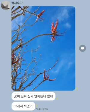 Jung Si-a Instagram - 너의 첫 LA 🇱🇷
서우덕분에 엄마도 여행하는 기분이야♥️고마워

#서우공주_