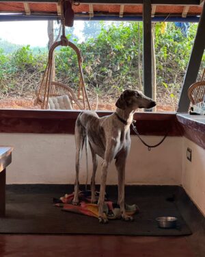 Karthika Muralidharan Instagram - Can you tell she misses the beach and her pink swimsuit