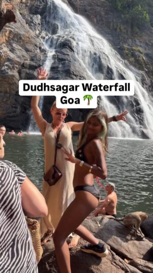 Khyati Shree Instagram - This was a sudden plan to Dudhsagar waterfalls. We boarded a bus and reached the booking counter at 8 AM, you can also take a train up till Kulem Railway station. This is one the coldest lake water that I dipped into, it was freezing cold water under hot sun. You need to book the tickets online a day earlier, it costs around ₹800. After showing the IDs at counter, a 7 seater jeep was allotted, its on first come first serve basis so you may be asked to wait, jeep then takes you to gates of the reserved forest, from there it is 30 minutes of bumpy ride to another gate. We only got 1 hr 30 minutes of time to enjoy inside the park. Its extremely beautiful. Owing to the strict crowd management policies, the forest is untouched, its clean and only few people at a time are allowed inside. The view of Konkan Railway against the mighty hills was breathtaking, the architecture was admirable both of nature and the railways. I’ll never forget and I will keep going back to this site, and I highly recommend you do too.  Beware of monkeys, they are pros at opening bags and stealing food and even cameras. Do take swimwear and spare clothing if you want to enjoy the water. 💕