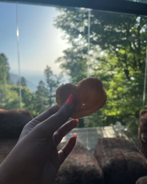 Kinza Razzak Instagram - Reflect
Recharge
Reset

🤍

#sunday #sundayvibes
