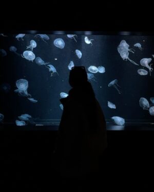 Kodchakorn Songsaengterm Instagram - ✨🪼🐠